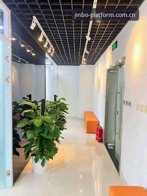 金博官方网登录通道选择与操作详解